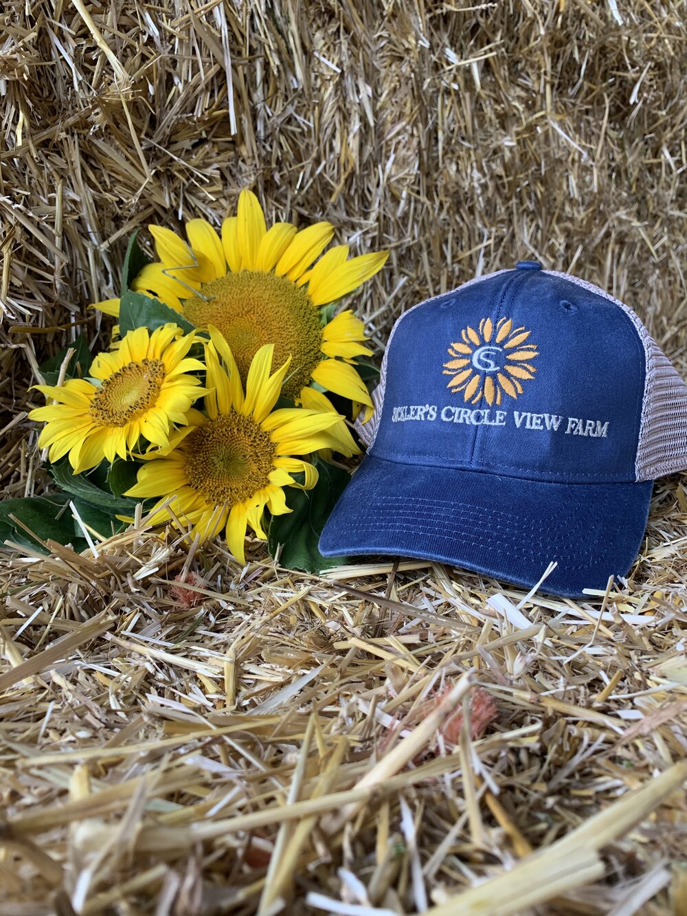 Sunflower Meshback Ponytail Ball Cap