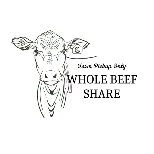 Whole Beef Share for July 2024- 50% deposit- Farm Pickup Only